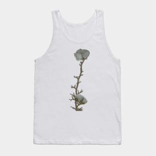 Single twig of natural grey blue cotton boll leaning against the white illuminated wall background Tank Top